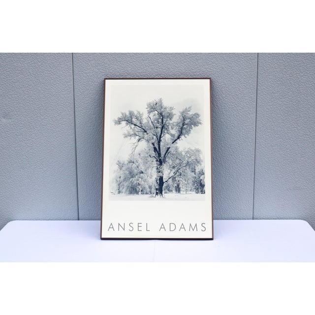 Fabulous 1948 Ansel Adams Oak Tree, Snowstorm, Yosemite National Park, California, photograph authorized high-quality fine...