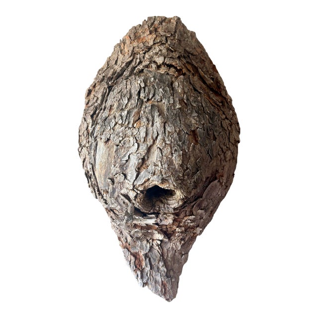 Vintage Mid-Century American Folk Art Bird Nest Tree Bark Wall Sculpture For Sale