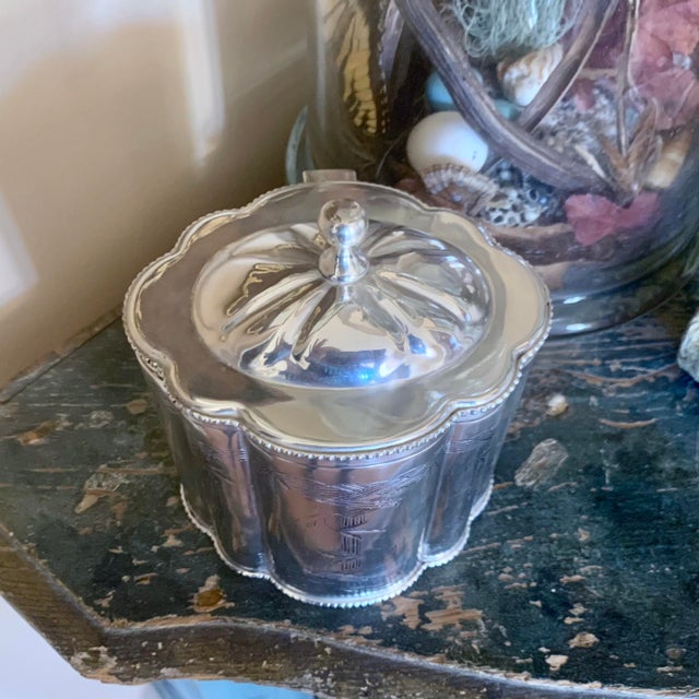 English Silver Plate Biscuit Box With Bamboo Engraving For Sale - Image 6 of 10