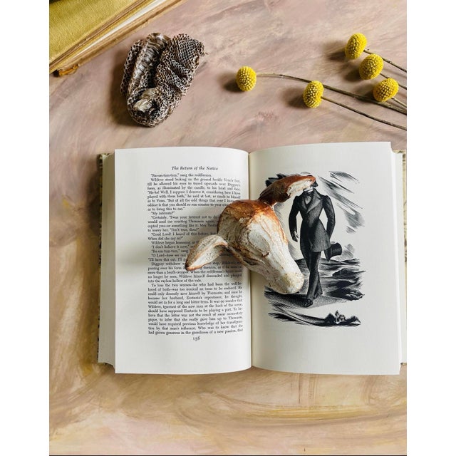 English 1970 the Return of the Native by Thomas Hardy For Sale - Image 3 of 10