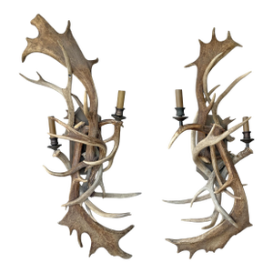 Pair of Fallow Deer Antler Sconces