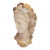 Shell Encrusted Bust For Sale