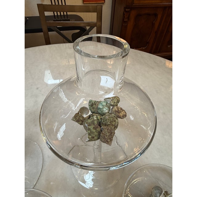 Modern Glass Pedestal Vessels + Seashells, Set of Four For Sale - Image 9 of 12