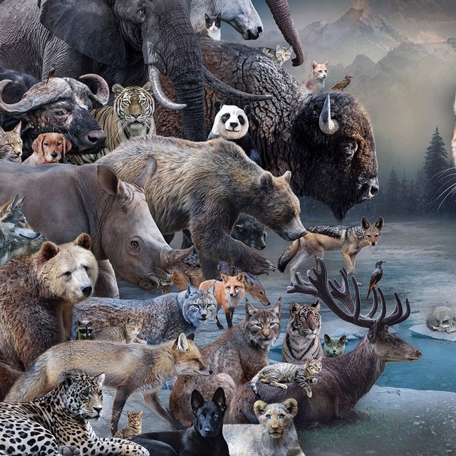 The Golden Age II by Marcin Owczarek | Photography of various animals in a surreal landscape For Sale - Image 4 of 5