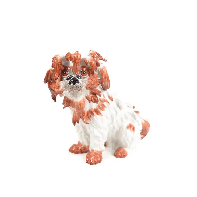 Meisen original porcelain figure of a Bolognese Terrier. Signed. A beautiful piece that will add to your décor!