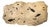 Fossil Fish Mural 4004gm From the Green River Formation, Wyoming For Sale
