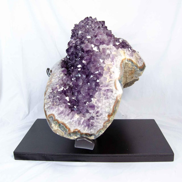 Traditional Amethyst Cluster, 65 Pounds, on Stand (#H0351 Uruguay ) For Sale - Image 3 of 8