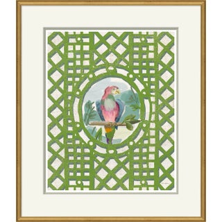 Aviary, Multi Framed Art Print by Dana Gibson For Sale