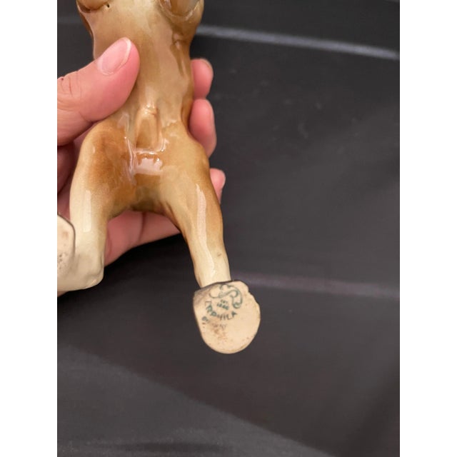 Early 20th Century German Porcelain Figure of a Boxer Dog, Early 20th Century For Sale - Image 5 of 7