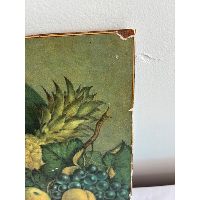 Vintage Still Life Fruit Print on Wood Panel For Sale - Image 9 of 10