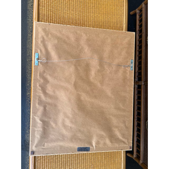 Green Late 20th Century Framed Art of Coatis Animal in the Woods Signed and Numbered For Sale - Image 8 of 8