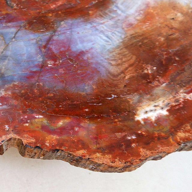 Red Arizona Petrified Wood Coffee Table For Sale - Image 4 of 16