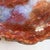 Red Arizona Petrified Wood Coffee Table For Sale - Image 4 of 16