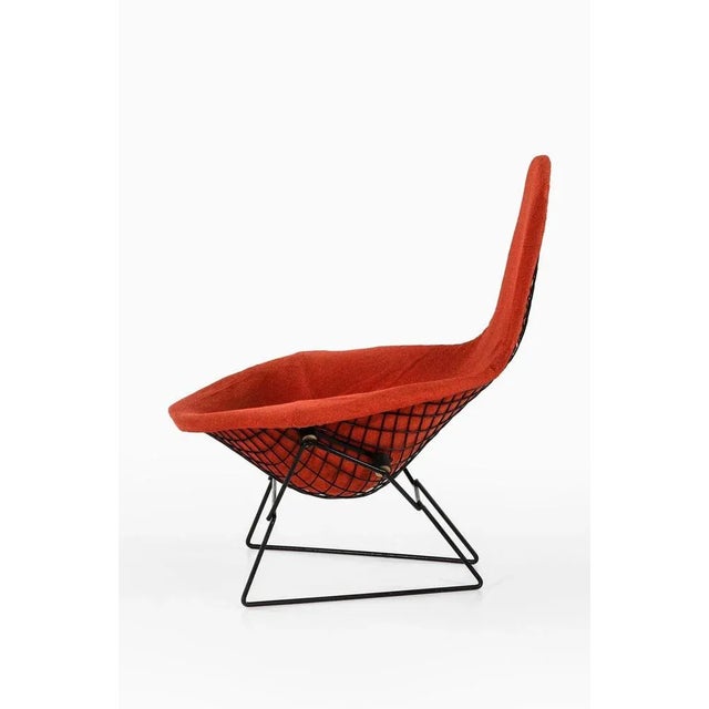 Easy Bird Chair in Black Lacquered Metal and Red Fabric attributed to Harry Bertoia, 1950s For Sale - Image 3 of 10