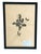 1965 French Herbarium Botanical Specimens – Set of 6 Custom Framed Pressed Botanicals For Sale - Image 4 of 15
