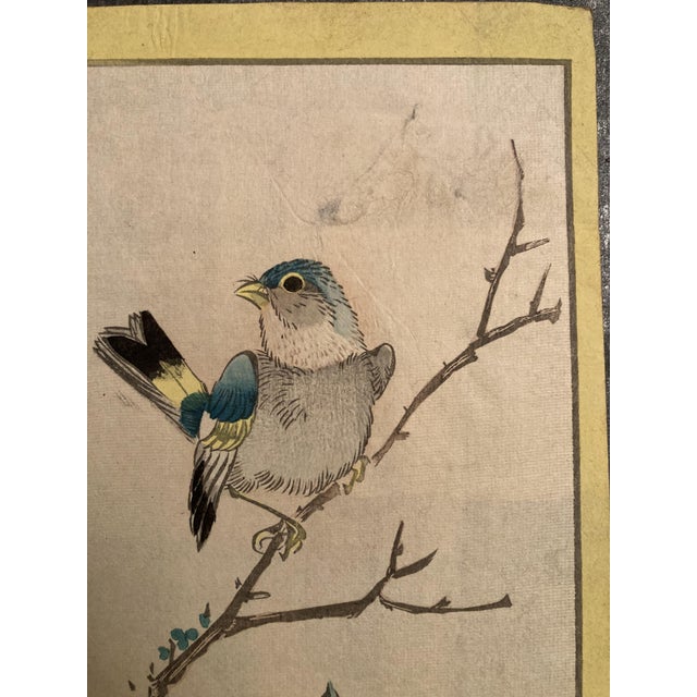 Nakayama Sūgakudō, Verdier Et Gardénia, 1859, Woodblock Print For Sale - Image 3 of 13