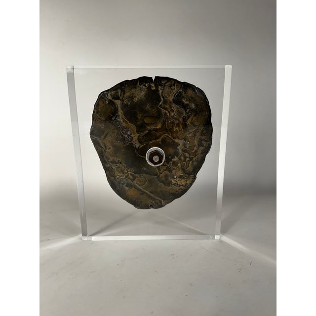 Transitional Antique Zinc Lion Sculpture on Lucite Mount For Sale - Image 3 of 7