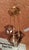Pendant Light in Brass and Smoked Glass, 1970s For Sale - Image 3 of 7