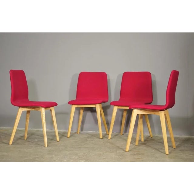 Modern Maple Chairs, 2010s, Set of 4 For Sale - Image 3 of 11