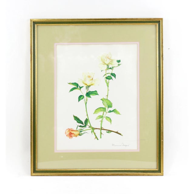 Vintage Hand-Painted Plant Specimen Watercolor "Gold Medal" Yellow Rose (With Frame). Signed in the Lower Right Corner For Sale - Image 9 of 9