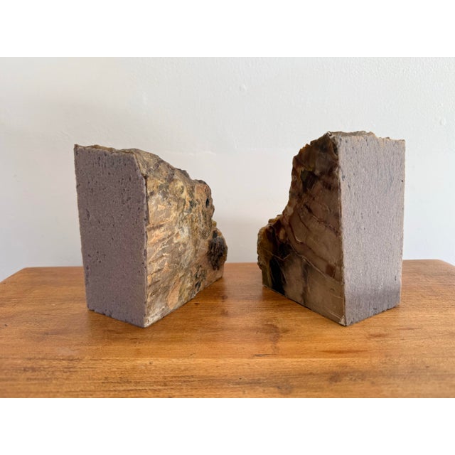 Late 20th Century Large Petrified Wood Stone Bookends For Sale - Image 5 of 6