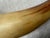 Antique Handmade Powder Horn For Sale - Image 15 of 18