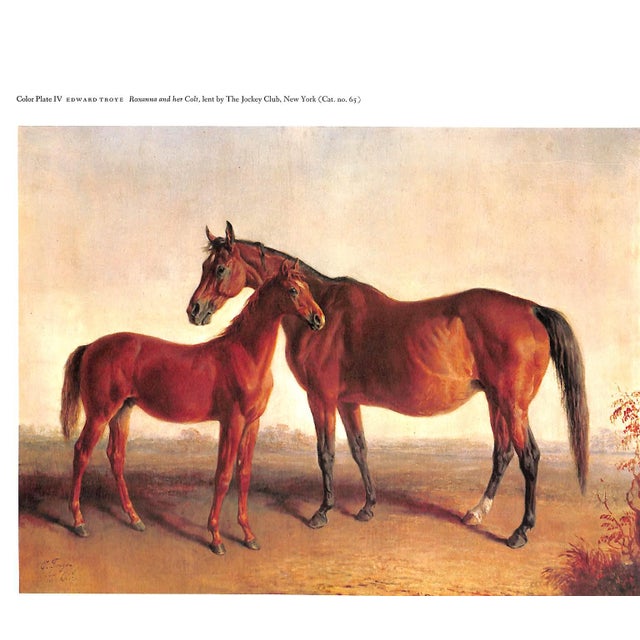 White "Sport and the Horse" Book 1960 For Sale - Image 8 of 10