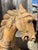 1950s Hand Carved Americana Carousel Horse Full Size Sculpture For Sale - Image 6 of 12
