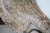 Monumental Hand-Carved Stone Garden Urn / Basin, Possibly Southeast Asian For Sale - Image 10 of 10