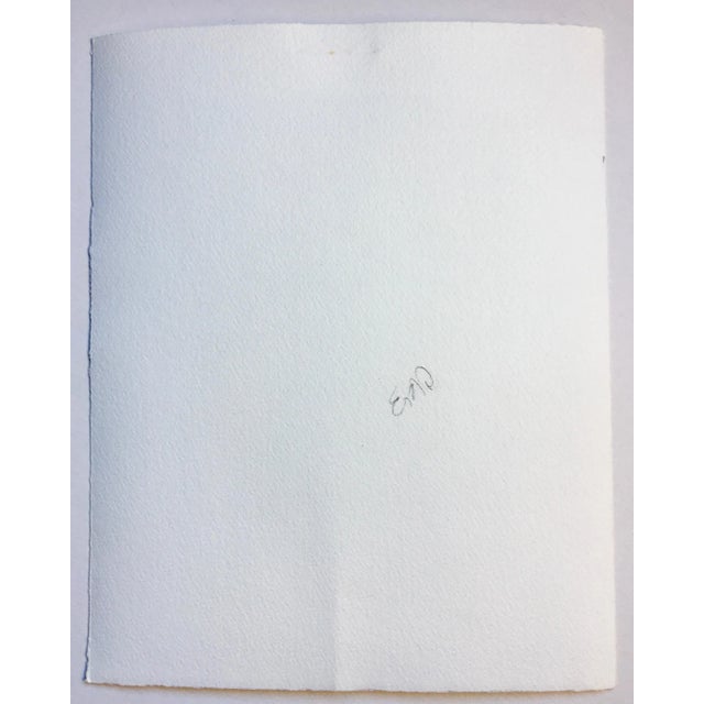 Contemporary Cyanotype “Vanderbilt Gates - Conservatory Gardens New York City” 1995 Pinhole Photograph by CKBoss For Sale - Image 3 of 4