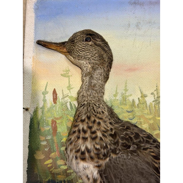 Half Duck, Gouache Painting For Sale - Image 4 of 13