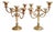 Early 20th Century Parisian Silver-on-Copper 5-Arm Candelabras - A Pair For Sale