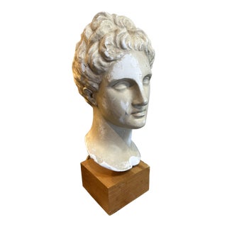 Vintage Plaster Bust For Sale
