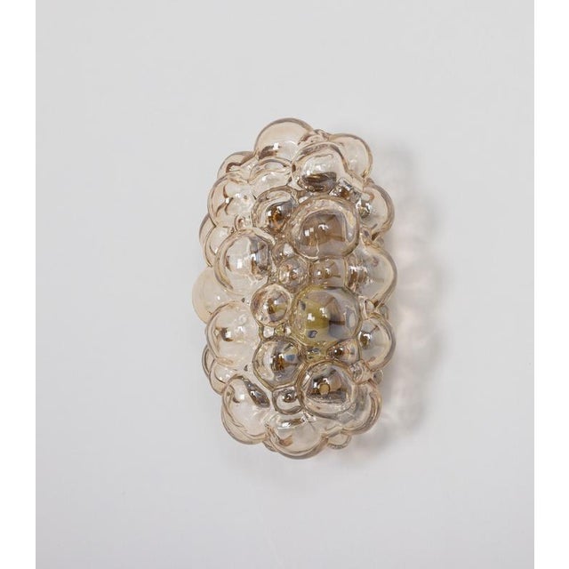 Amber Bubble Glass Sconce by Helena Tynell for Limburg, Germany, 1960s For Sale - Image 3 of 16