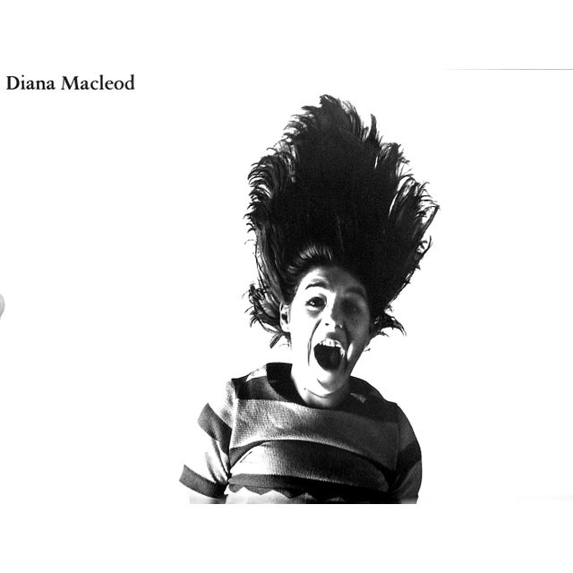 White "Birds of Britain" 1967 Green, John D For Sale - Image 8 of 12