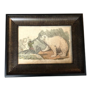 19th Century Original Polar Bear Colored Etching For Sale