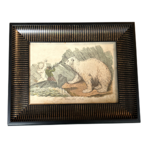 19th Century Original Polar Bear Colored Etching