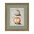 Lovely pair of antique early 1800s fruit botanical engravings, beautifully presented in charming antique gilt frames with...