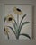 Modern Abstract Folk Art Floral Acrylic Painting, “Tennessee Blooming 2,” Signed, Dated For Sale In Memphis - Image 6 of 6