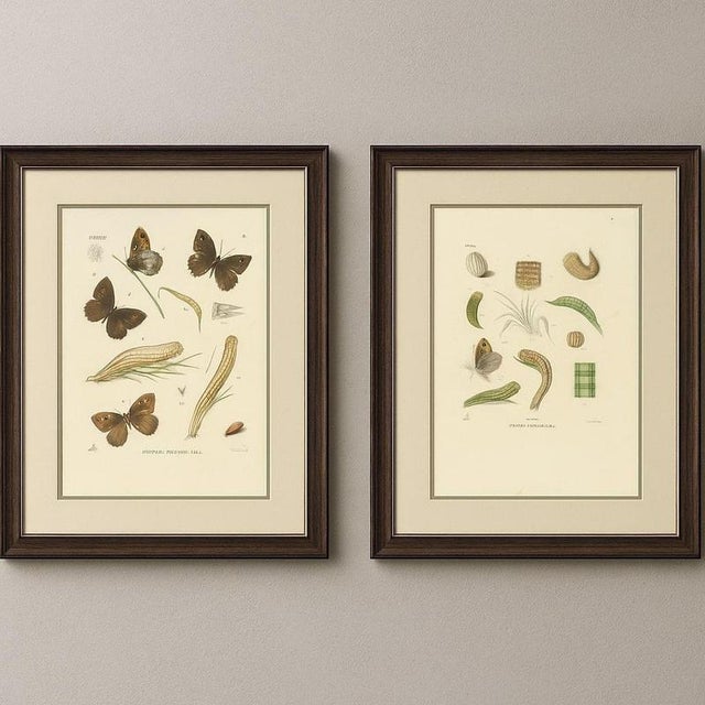 This refined matching pair of antique butterfly engravings originates from Parts 1–2 of the rare third and final series of...