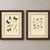 This refined matching pair of antique butterfly engravings originates from Parts 1–2 of the rare third and final series of...