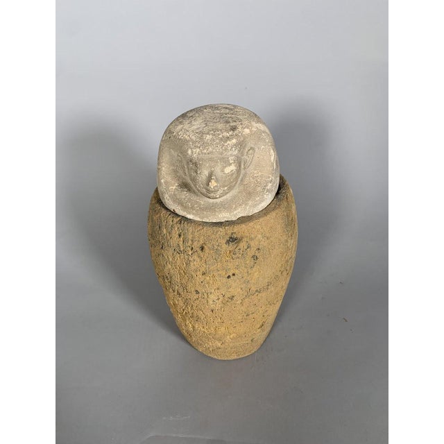15th Century & Earlier Canopic jar, ancient Egypt, depicting the god Amset, Late Period (711-332 BC), archaeology For Sale - Image 5 of 11