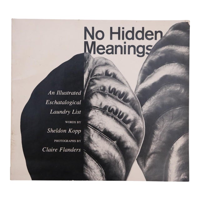 No Hidden Meanings For Sale