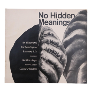 No Hidden Meanings