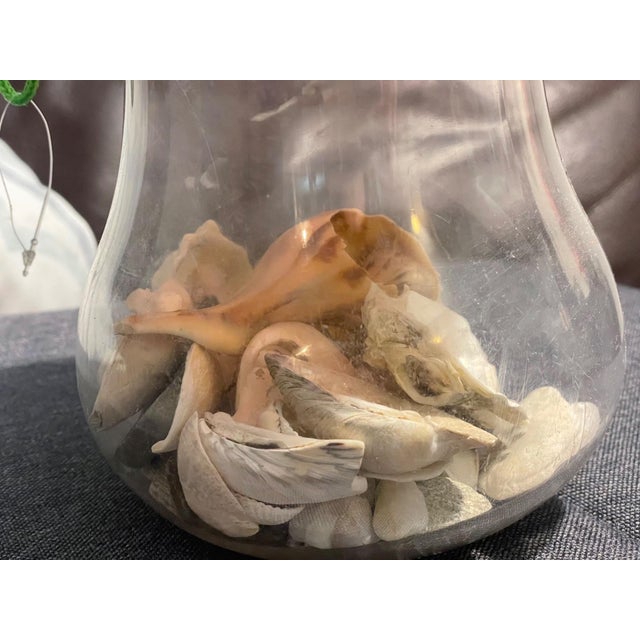 Red New England Curated Coastal Shell Display With Mushroom Lid For Sale - Image 8 of 12