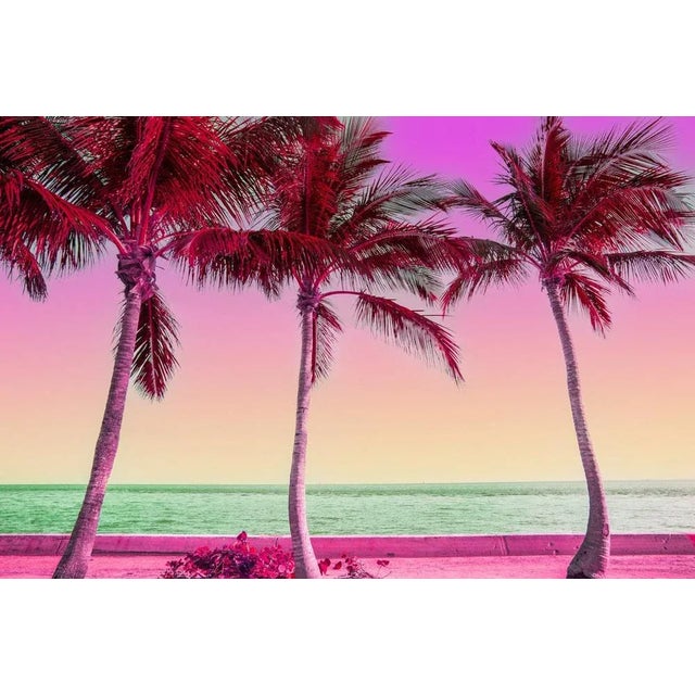 Artur Debat, Dreamlike Picture of Colourful View of the Palm Trees in Miami, Photograph, in Flawless conditions. Designed...