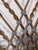 1920s 19th Century Antique French Wrought Iron Window Grille & Architectural Garden Panel For Sale - Image 5 of 12