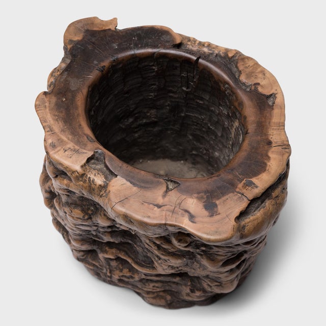 Asian Chinese Gnarled Root Brush Pot, C. 1900 For Sale - Image 3 of 5