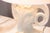 Chapman Manufacturing Company 1960s Chapman White Ceramic Ram Head Lamps - a Pair For Sale - Image 4 of 9