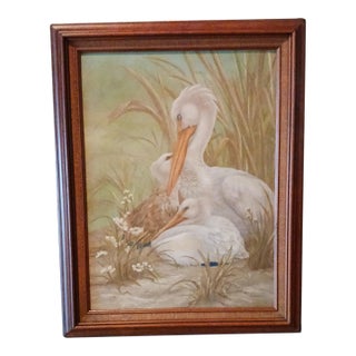 Pelican Family - Oil on Canvasboard 1970s Free Shipping! For Sale
